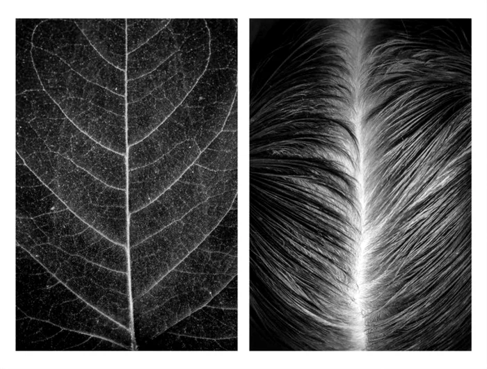 proiect foto Alicja Brodowicz