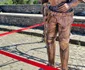 Cavalerul de pe Turnul Buzdugan a revenit la Castelul Corvinilor (foto: Primăria Hunedoara)