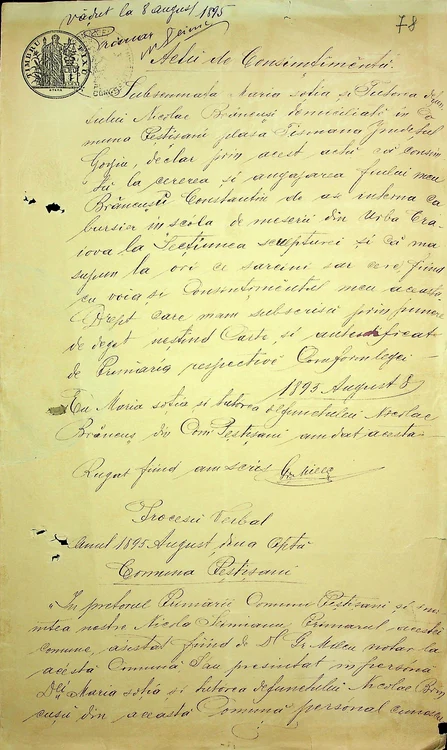 Actul prin care mama lui Brâncuși consimte să se înscrie la şcoala din Craiova Foto: Arhivele Române