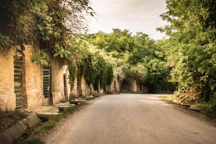 "Satul cu 1000 de pivnițe" Foto: Facebook 