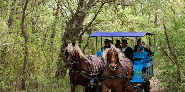 Proiect cu bani UE în satul Letea FOTO Elena Baccela