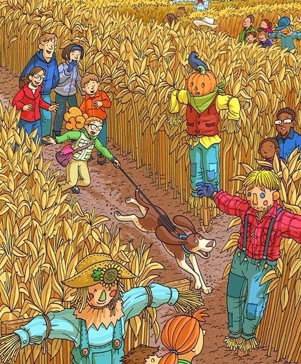 Unde se află peștele din imagine