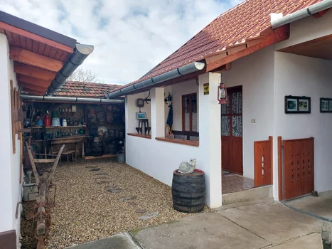 Alexandru Chiş a amenajat muzeul în casa sa FOTO Alexandru Chiș