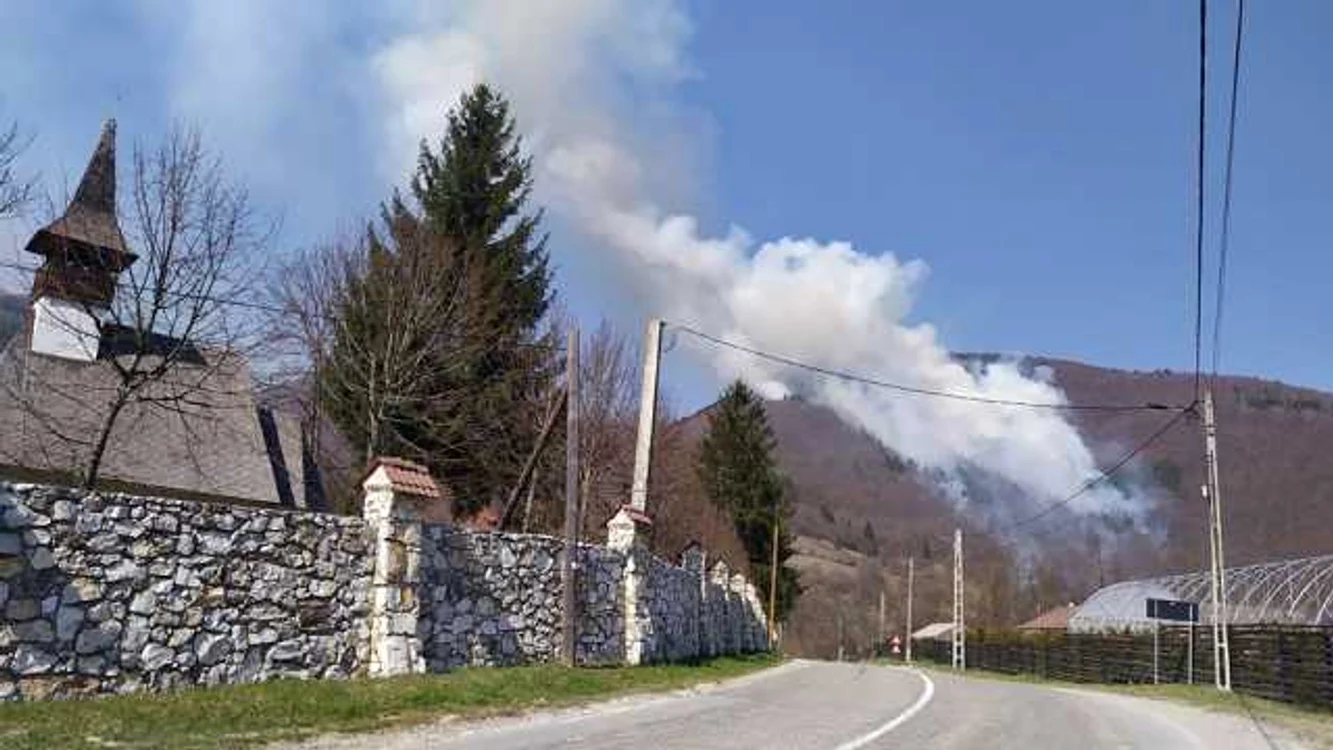 Incendiul s-a produs într-o pădure din apropierea mănăstirii Lupşa. Foto: Claudiu Drugă