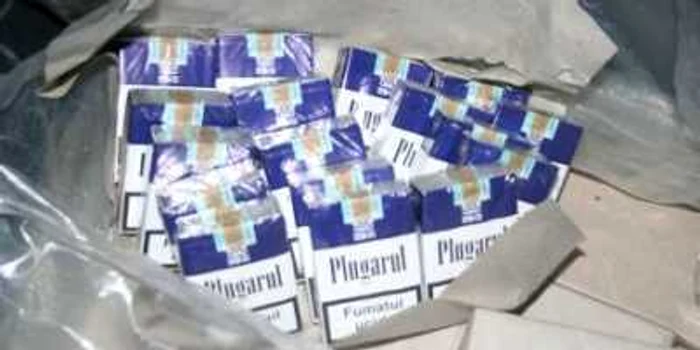 Ţigări "Plugaru" confiscate