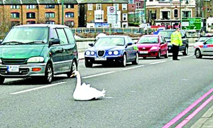 CLIIMA20100309 0114 1 jpeg