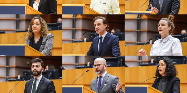 PE dezbateri cu presedintia suedeza  Foto Biroul Parlamentului European in Romania jpg