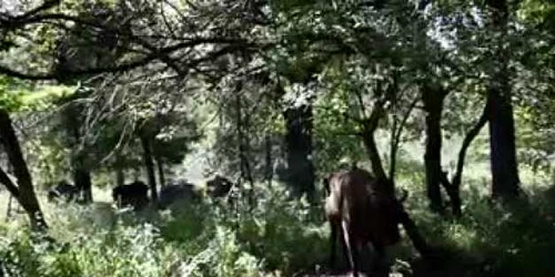 5f5b45345163ec4271e060a5 jpg