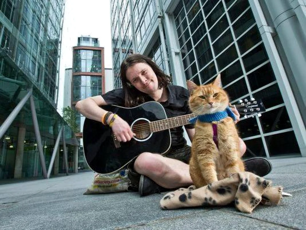 Un al doilea film, „A Gift from Bob”, în care apare felina, va fi lansat anul acesta