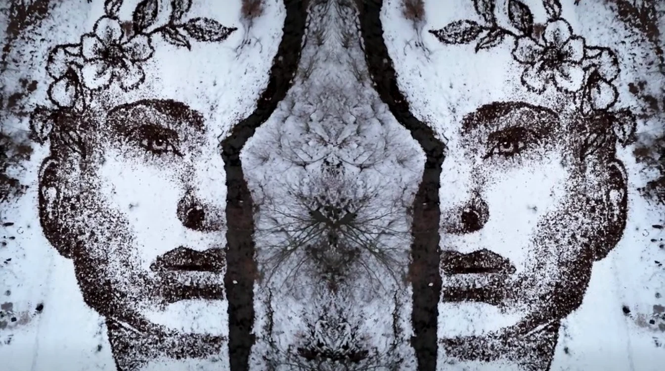 „Gaia”, portretul care a cucerit Internetul / foto: Captură video Facebook