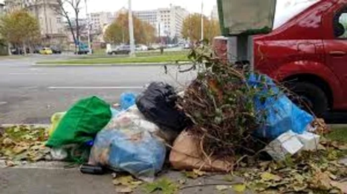 Pe strada Radu Beller, aproape de Guvern, oamenii și-au scos deșeurile la poartă