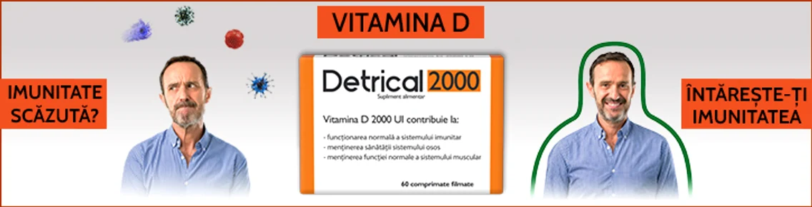 3 detrical banner final articol 725x185 jpg jpeg