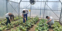 liceul agricol gheorghe k constantinescu braila, diverse   foto alina mitran (28) jpg