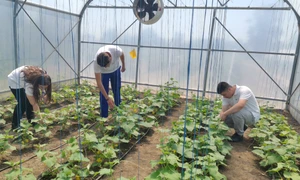 liceul agricol gheorghe k constantinescu braila, diverse   foto alina mitran (28) jpg