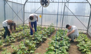 liceul agricol gheorghe k constantinescu braila, diverse   foto alina mitran (28) jpg