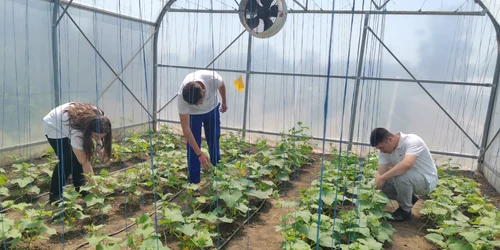 liceul agricol gheorghe k constantinescu braila, diverse   foto alina mitran (28) jpg