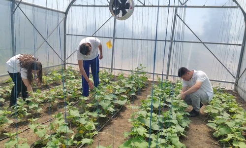 liceul agricol gheorghe k constantinescu braila, diverse   foto alina mitran (28) jpg