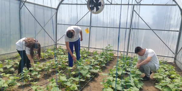 liceul agricol gheorghe k constantinescu braila, diverse   foto alina mitran (28) jpg