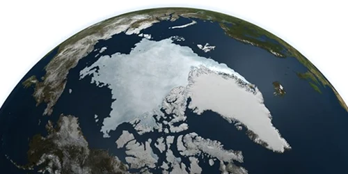 Arctic
