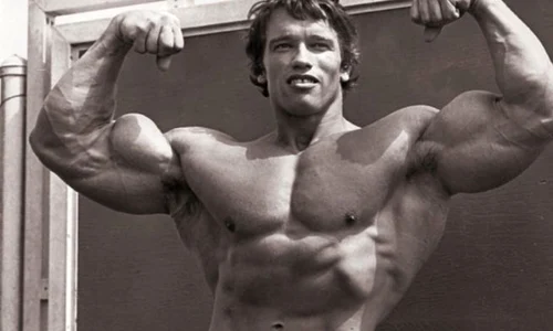 Arnold Schwarzenegger, acuzat că s a dopat cu steroizi din România jpeg