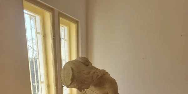 Aradul îndurerat 2 jpg