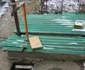 viorica dorobat spaima hotilor