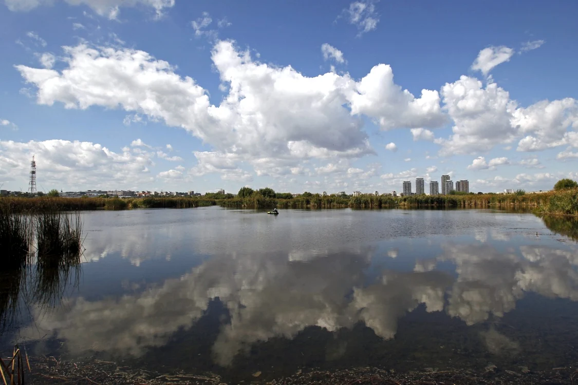 Pescar Lacul Văcăreşti