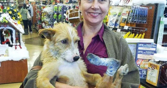Toto începe o nouă viaţă în SUA