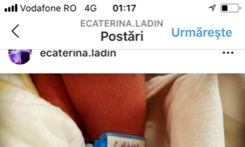ecaterina ladin bebelus png