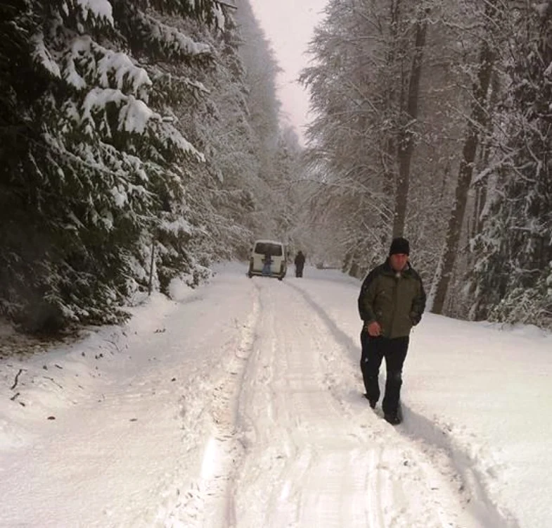 zapada bucegi