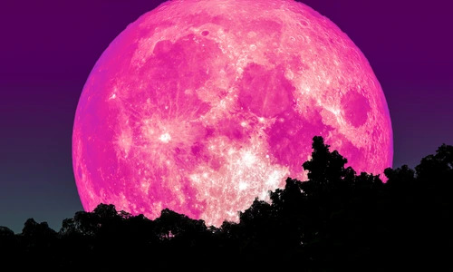 shutterstock 1054672853 jpg