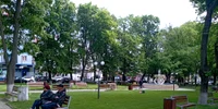 spatii verzi darabani (8) jfif