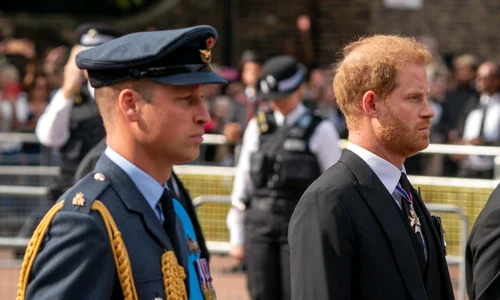 William & Harry, Profimedia