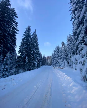 DJ 714 Moroeni - Sanatoriu, îmbrăcat în straie albe. FOTO Hotel Peștera