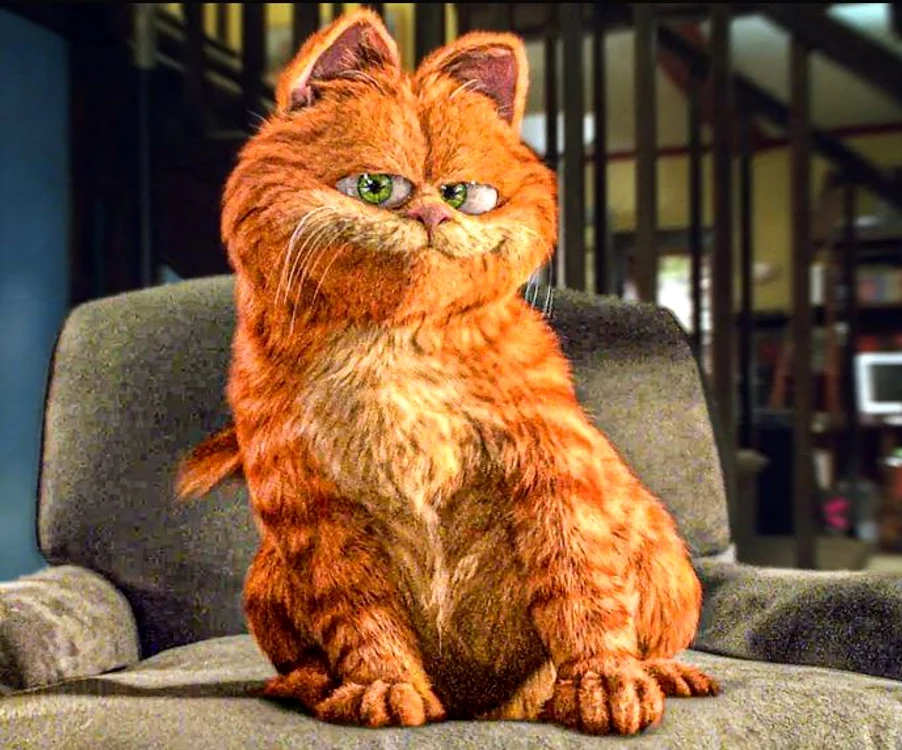 A fost asemănat cu Garfield (Foto: captură video)