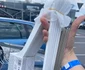 Medana a cumpărat uneraşe foto: arhivă personală 