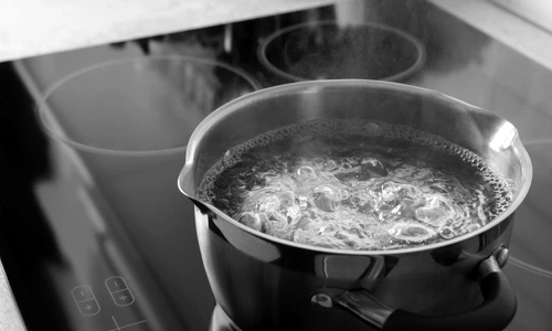 1 apa clocotita jpg jpeg