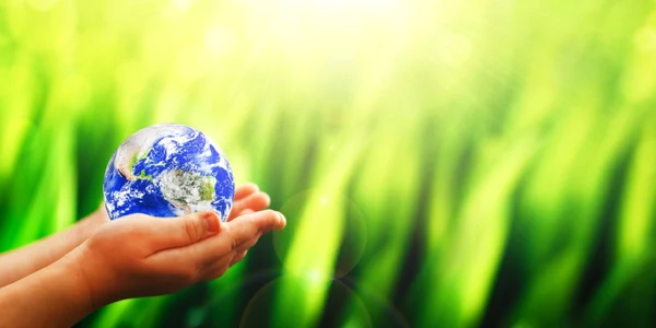 Ziua Pamantului pamant maini protectie mediu FOTO Shutterstock