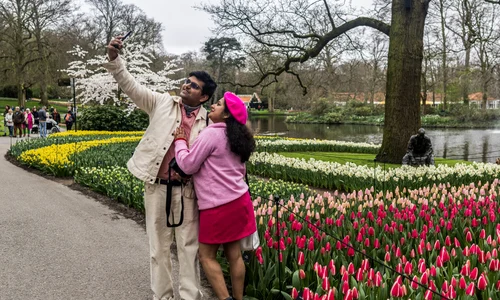 gradina Keukenhof olanda profimedia jpg