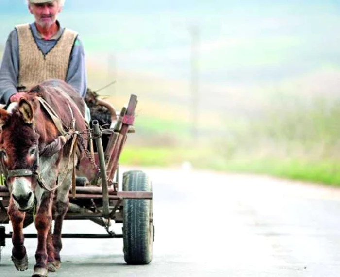 Exploatările agricole de toate tipurile din România utilizează peste 720.000 de care şi căruţe