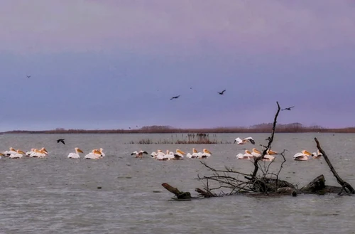 plaja sf gheorghe25 png