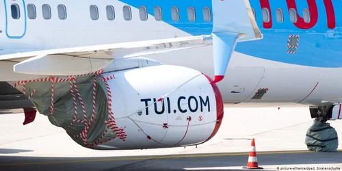 tui