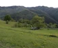 Cetatea dacică Piatra Roșie și valea Luncanilor Foto Daniel Guță ADEVĂRUL (18) JPG