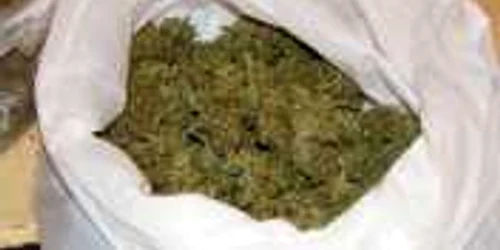 Din primele cercetări, drogurile provin din Vestul Europei