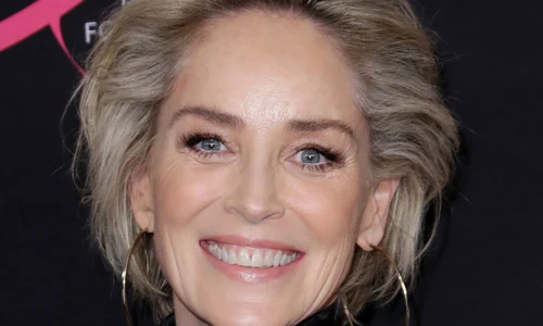 1 sharon stone profimedia 0416610330 jpg jpeg