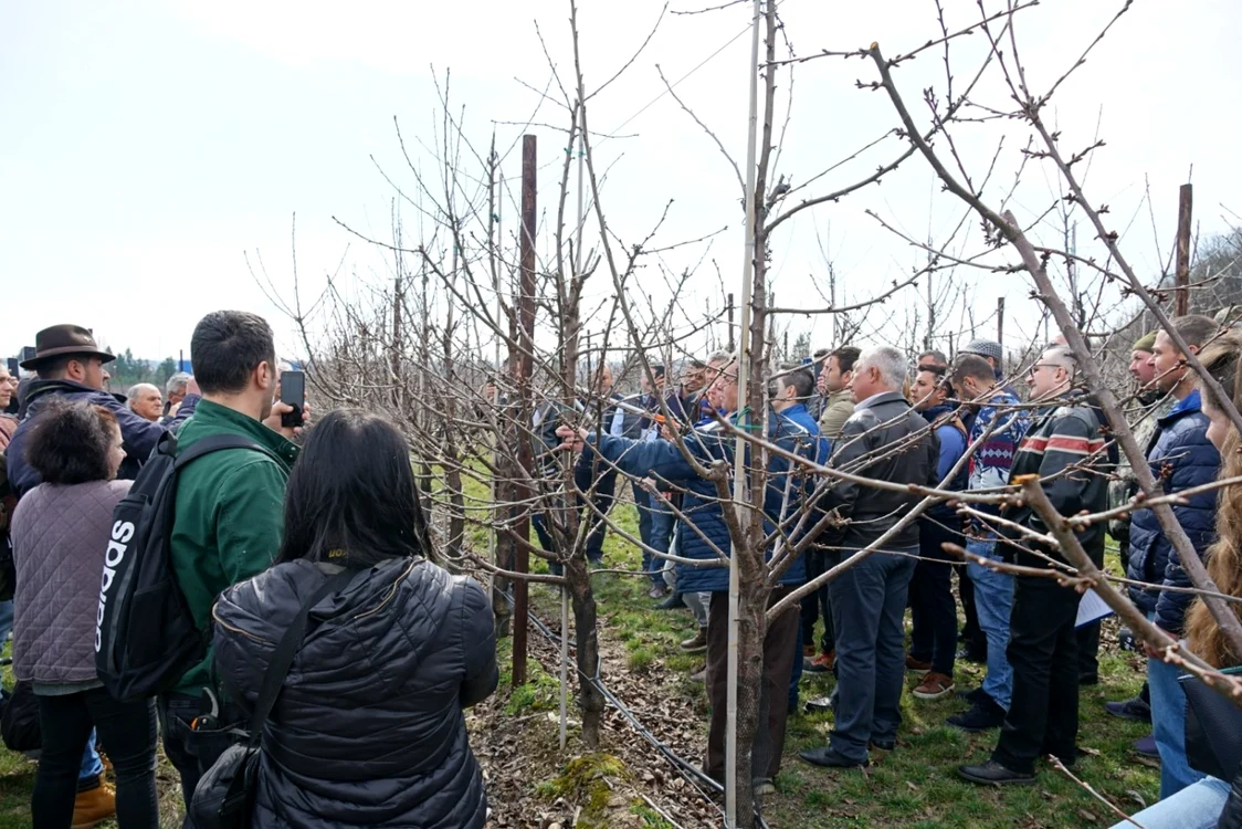 Specialiştii recomandă aplicarea unor lucrări agrotehnice integrate. Foto: ICDP Piteşti-Mărăcineni