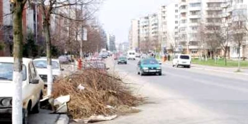 Se dă startul la curăţenia de toamnă