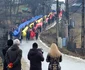 Tricolor călător, în Argeș Foto: Victor Mihalache jpg