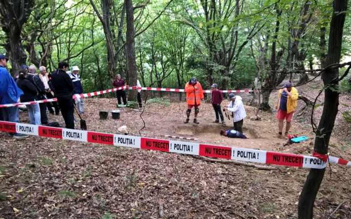 investigatii cricau alba