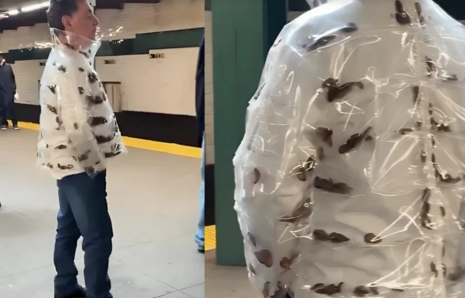 Un bărbat îmbrăcat cu o geacă în care se mișcă zeci de gândaci a speriat călătorii la metroul din New York. Ce se ascunde în spatele gestului
